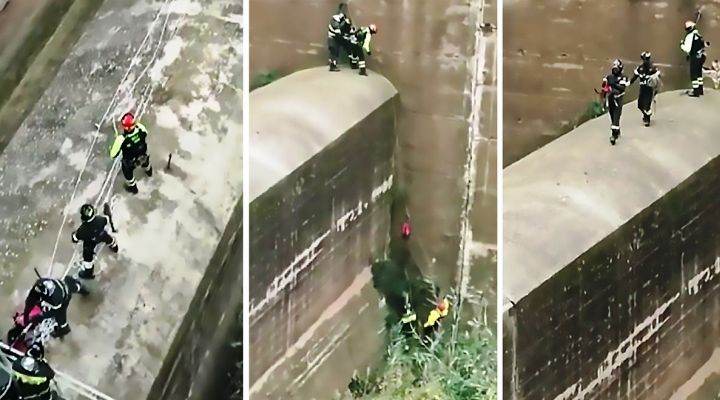 Bomberos italianos bajan por un muro de 20 metros de una presa para salvar a un perro (Video)