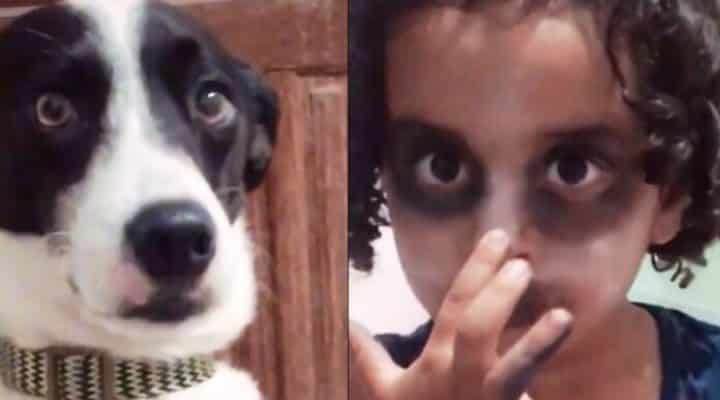 Niña revoluciona las redes sociales por maquillarse para parecerse a su perro (+VIDEO)