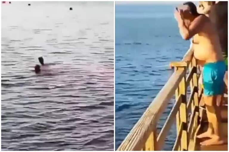 T3rror en el Mar Rojo de Egipto: Mueren 2 mujeres tras ataque de tiburones (+Video)