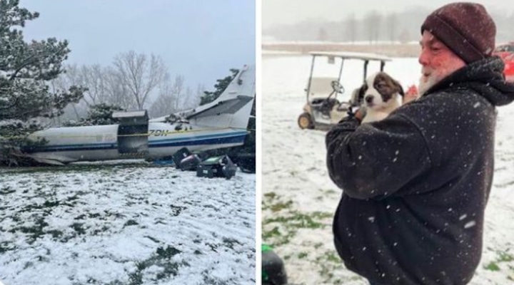 Avión con 56 perritos en adopción se estrella: Todos lograron sobrevivir