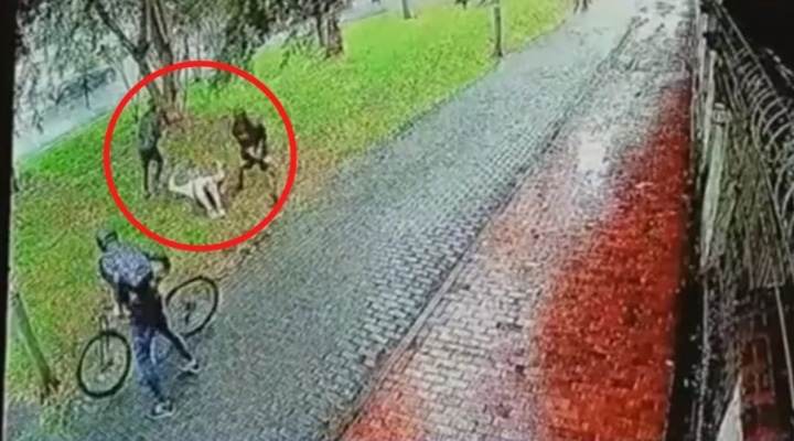 Impresionante hurto a ciclista: Lo agarraron en gallada para tumbarlo y robarlo